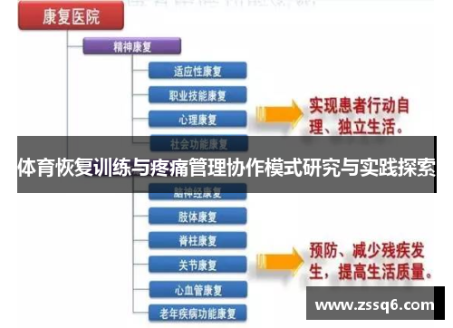 体育恢复训练与疼痛管理协作模式研究与实践探索